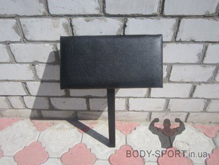 СКАМЬЯ (ЛАВКА) ДЛЯ ЖИМА  +  ПРИСТАВКА СКОТТА